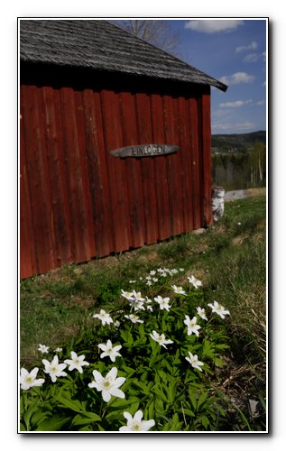 Brynge kuturområde Brynge kuturområde